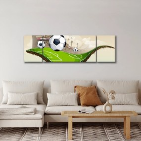 Obraz - Boisko do piłki nożnej (170x50 cm)