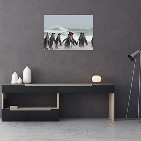 Obraz pingwinów nad oceanem (70x50 cm)