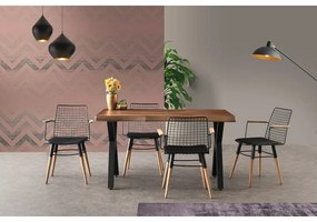 Zestaw krzeseł do jadalni Trend Black and Walnut, 2 szt.