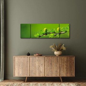Obraz zielonej szyszki (170x50 cm)
