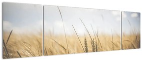 Obraz ziarna (170x50 cm)