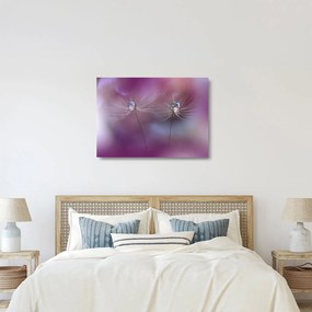 Obraz na szkle kropelek na puchu (70x50 cm)