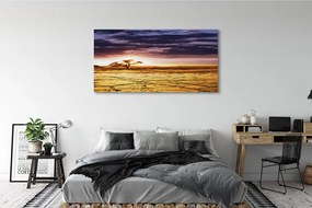 Fotoobraz na płótnie Chmury i Drzewa na Niebie