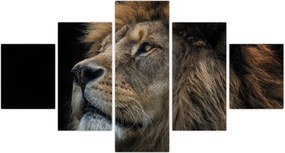 Obraz - Majestatyczny lew (125x70 cm)