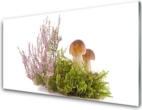 Panel Szklany do Kuchni Skarby Leśnego Poszycia