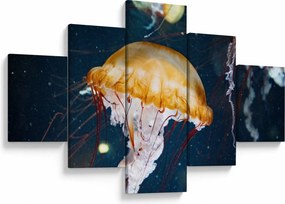 Obraz meduzy (125x70 cm)