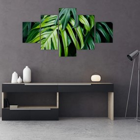 Obraz - Tropikalne liście (125x70 cm)