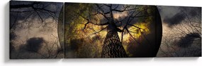 Obraz - Tajemnicze niebo (170x50 cm)