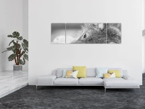 Obraz - Wilk, czarno - biały (170x50 cm)