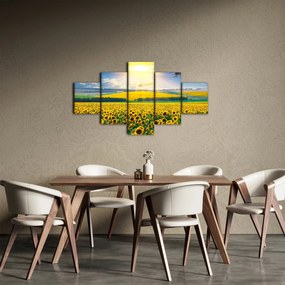 Obraz - Pole słoneczników (125x70 cm)