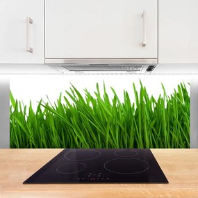 Panel Kuchenny Poranna Rosa na Trawie