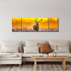 Obraz - Jeleń o wschodzie słońca (170x50 cm)