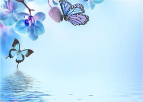 Obraz - Motyl na kwiatach orchidei, niebieski (70x50 cm)