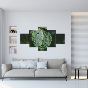 Obraz - krople na liściu (125x70 cm)