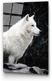 Szklany obraz 70x100 cm White Wolf – Wallity