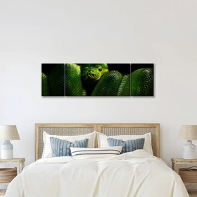 Obraz - Zielony wąż (170x50 cm)