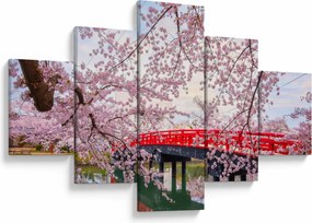 Obraz - Hirosaki, Japonia (125x70 cm)