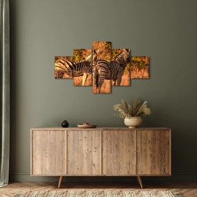 Obraz zebr (125x70 cm)