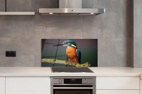 Panel szklany do Kuchni Mały Egzotyczny Ptak