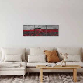 Obraz maków (z zegarem) (90x30 cm)