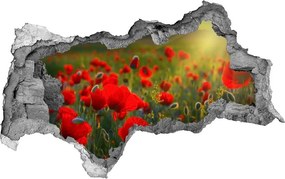 naklejka fototapeta 3D widok Pole maków