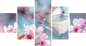Obraz - Motyl na drzewie wiśni (125x70 cm)