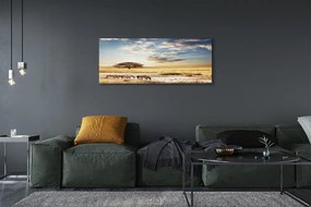 Zdjęcie na płótnie Zebry i Drzewo na Tle Chmur