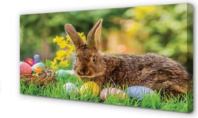 Duży obraz na płótnie Zając Wielkanocny na Łące