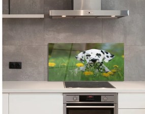 Szklany Panel Łąka pies