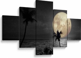 Obraz - Plaża pod pełnią księżyca w odcieniach szarości (125x70 cm)