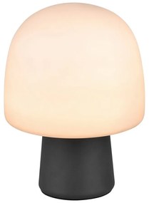 Czarno-biała lampa stołowa ze szklanym kloszem (wysokość 27 cm) Steen – Trio