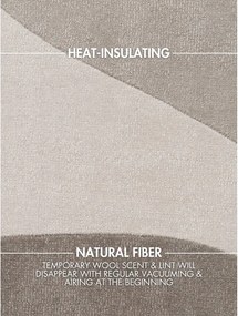 Beżowy wełniany dywan tkany ręcznie 200x300 cm Hackney Clarissa – Ted Baker