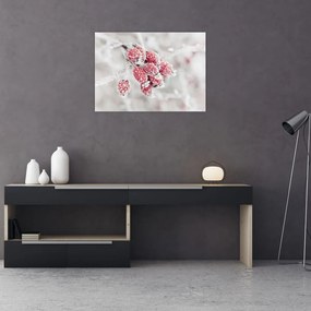 Obraz na szkle - Mrożone owoce (70x50 cm)