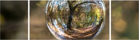 Obraz - Odbicie w szklanej kuli (170x50 cm)