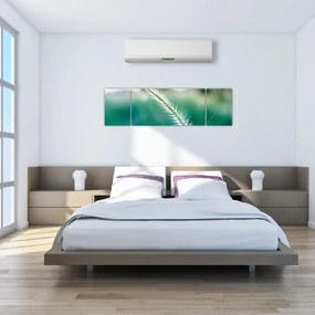 Obraz źdźbła trawy (170x50 cm)