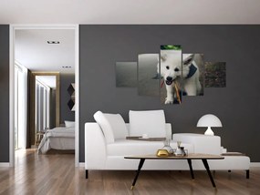 Obraz białego psa (125x70 cm)