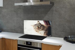 Panel Szklany Kot maine coon