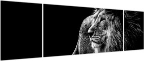 Obraz - Lew, czarno-biały (170x50 cm)