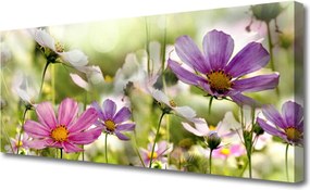 Zdjęcie na płótnie Pastelowa Łąka Kwiatowa