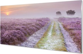 Panel Kuchenny Szklany Wrzosowe Pola