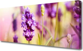Obraz canvas Delikatność Polnych Kwiatów