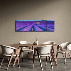 Obraz - Lewndowe pole (170x50 cm)