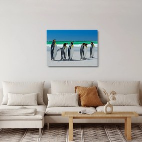 Obraz na szkle - Grupa Pingwinów królewskich (70x50 cm)