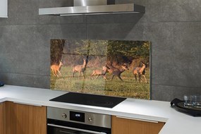 Panel Szklany Jelenie na Polu o Wschodzie Słońca