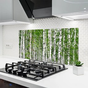 Panel Szklany do Kuchni Świetlisty Las Brzozowy