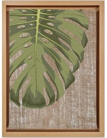 Obraz 36x46 cm Monstera – Wallity