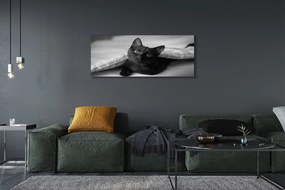 Obraz na płótnie Przytulny Kot pod Kołdrą