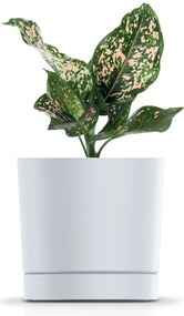 Donica ogrodowa Tubo P 17,8 cm biała PROSPERPLAST