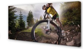 Obraz drukowany na płótnie Szczyty Gór i Rower