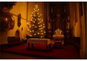 Łańcuch świetlny Plamen biały, 16 żarówek LEDFilament, przedłużenie